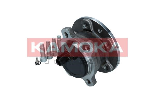 Wheel Bearing Kit KAMOKA 5500373 3
