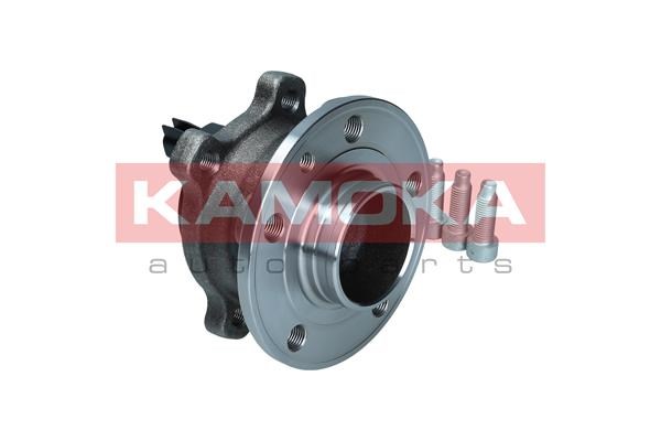 Wheel Bearing Kit KAMOKA 5500373 4