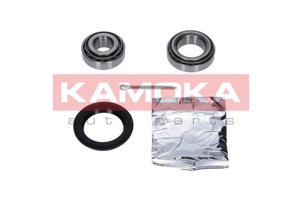Wheel Bearing Kit KAMOKA 5600078