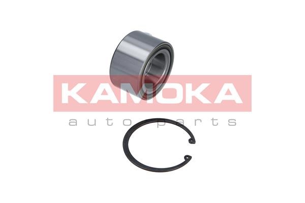 Wheel Bearing Kit KAMOKA 5600051 2
