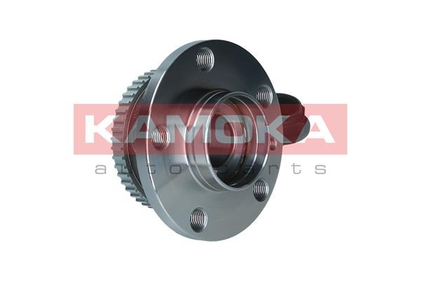 Wheel Bearing Kit KAMOKA 5500214 4