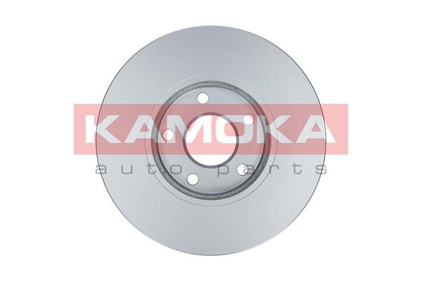 Brake Disc KAMOKA 103245 2