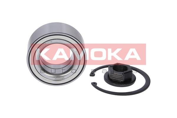 Wheel Bearing Kit KAMOKA 5600052