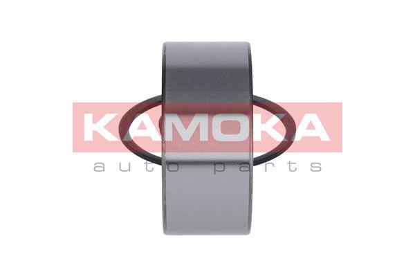 Wheel Bearing Kit KAMOKA 5600052 4
