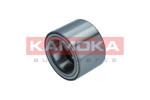 Wheel Bearing Kit KAMOKA 5600169
