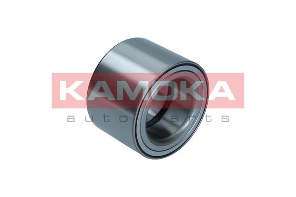 Wheel Bearing Kit KAMOKA 5600169 2