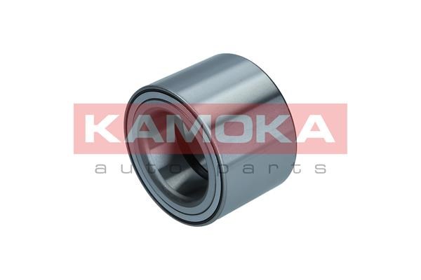 Wheel Bearing Kit KAMOKA 5600169 3