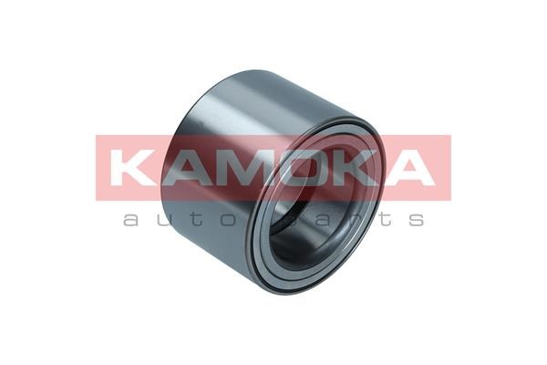 Wheel Bearing Kit KAMOKA 5600169 4