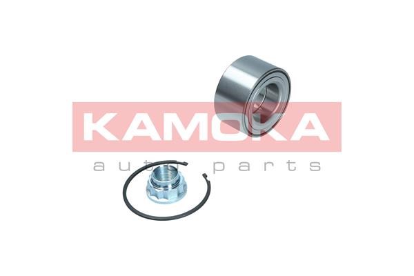Wheel Bearing Kit KAMOKA 5600135 2