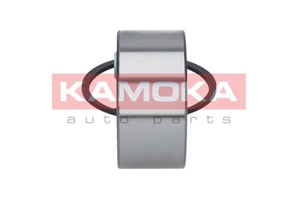 Wheel Bearing Kit KAMOKA 5600032 4