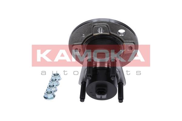 Wheel Bearing Kit KAMOKA 5500080 3