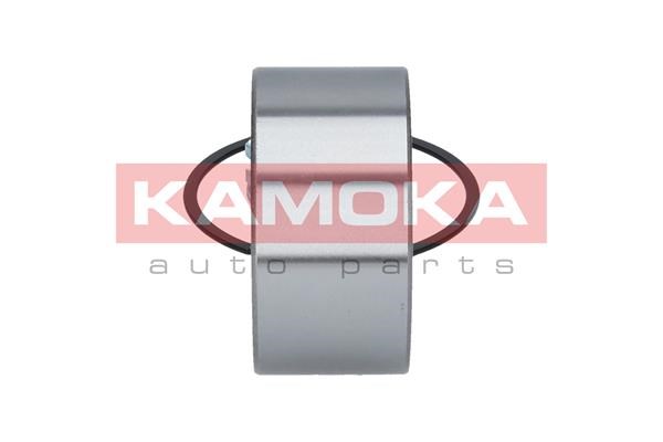 Wheel Bearing Kit KAMOKA 5600019 4