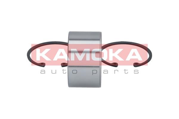 Wheel Bearing Kit KAMOKA 5600013 4