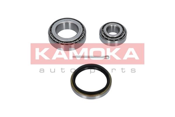 Wheel Bearing Kit KAMOKA 5600021