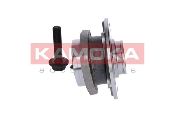 Wheel Bearing Kit KAMOKA 5500066 4