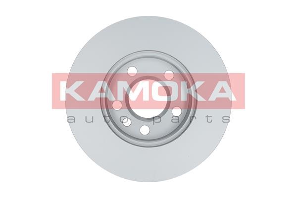 Brake Disc KAMOKA 1032020 2