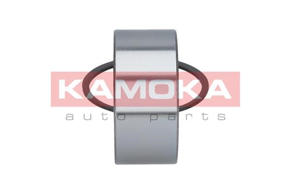 Wheel Bearing Kit KAMOKA 5600081 4