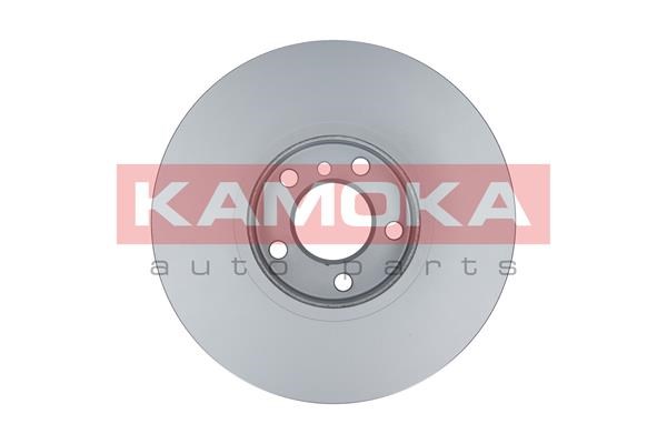 Brake Disc KAMOKA 103301 2
