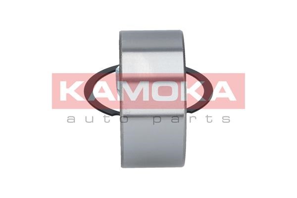 Wheel Bearing Kit KAMOKA 5600085 4