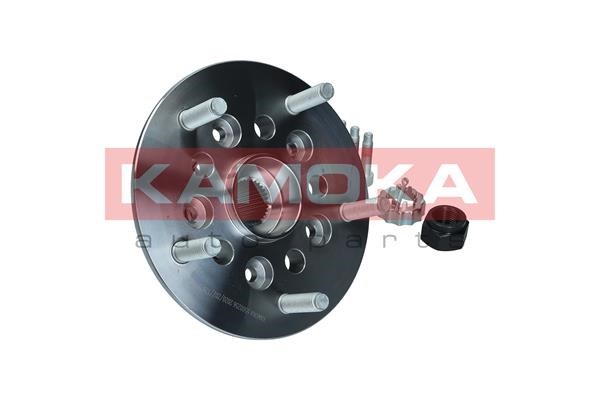 Wheel Bearing Kit KAMOKA 5500256 4