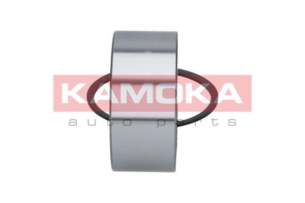 Wheel Bearing Kit KAMOKA 5600038 4