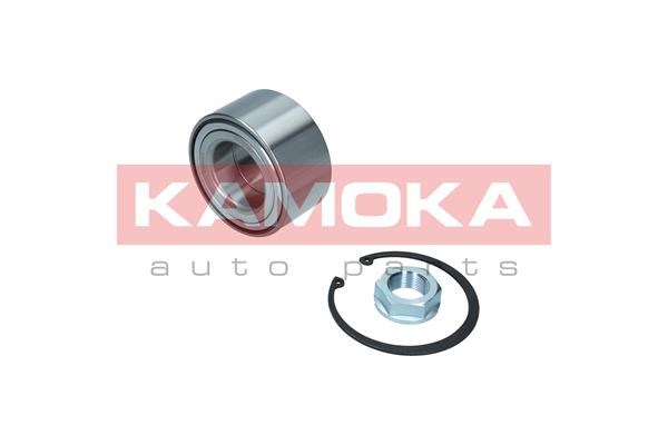 Wheel Bearing Kit KAMOKA 5600097 2