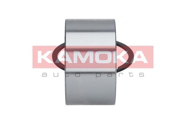 Wheel Bearing Kit KAMOKA 5600030 4