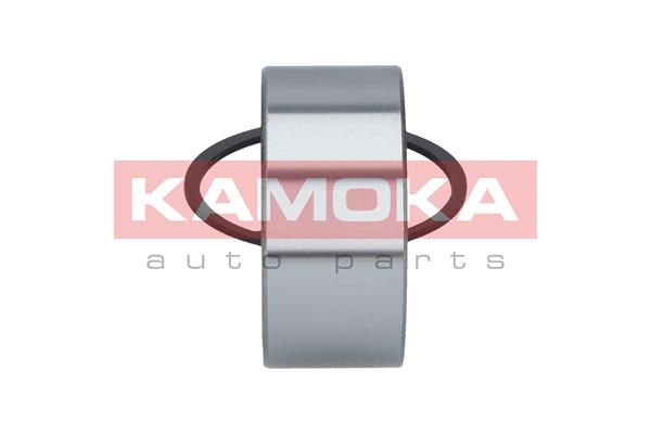 Wheel Bearing Kit KAMOKA 5600094 4