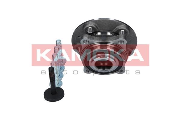 Wheel Bearing Kit KAMOKA 5500068 3
