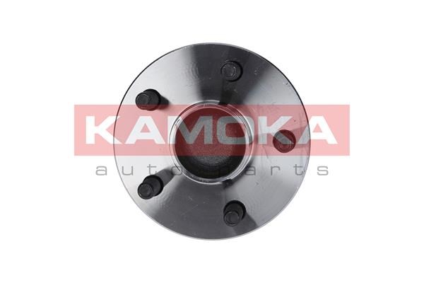 Wheel Bearing Kit KAMOKA 5500093