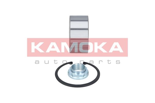 Wheel Bearing Kit KAMOKA 5600072 2