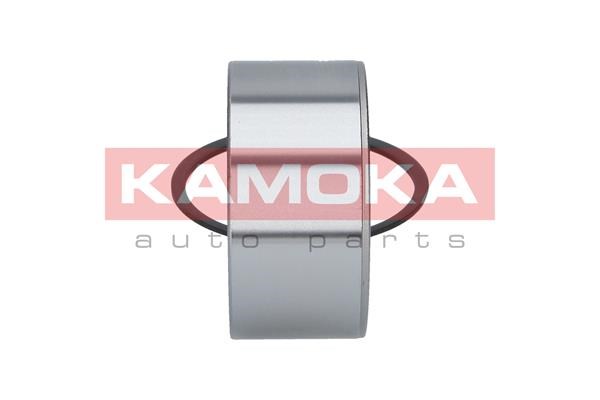Wheel Bearing Kit KAMOKA 5600072 4