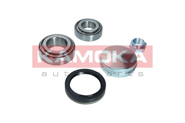 Wheel Bearing Kit KAMOKA 5600124 2