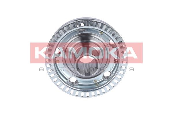 Wheel Hub KAMOKA 5500116 3