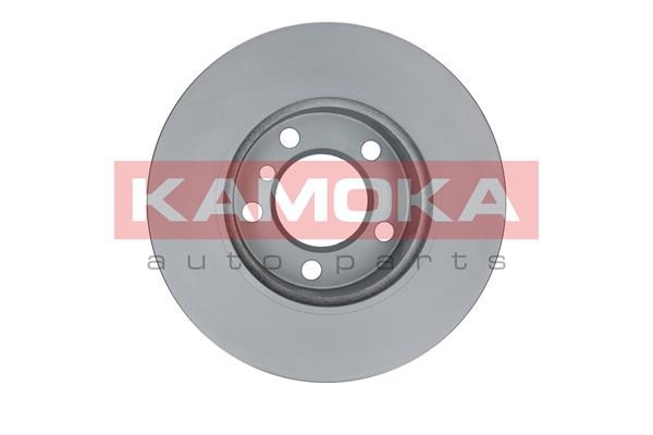 Brake Disc KAMOKA 103231 2