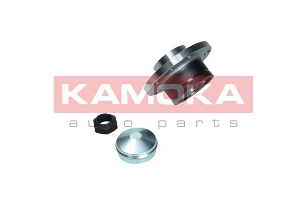 Wheel Bearing Kit KAMOKA 5500169 2