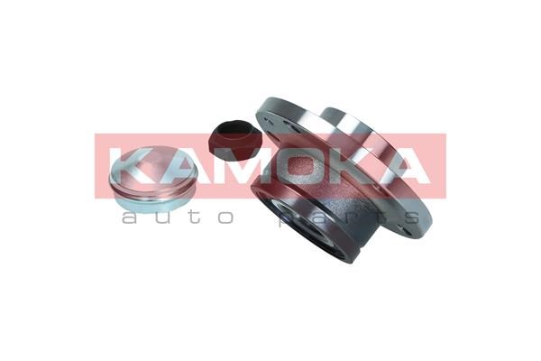 Wheel Bearing Kit KAMOKA 5500169 3