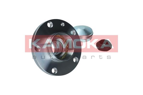 Wheel Bearing Kit KAMOKA 5500169 4
