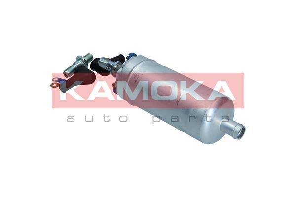 Fuel Pump KAMOKA 8410019 2