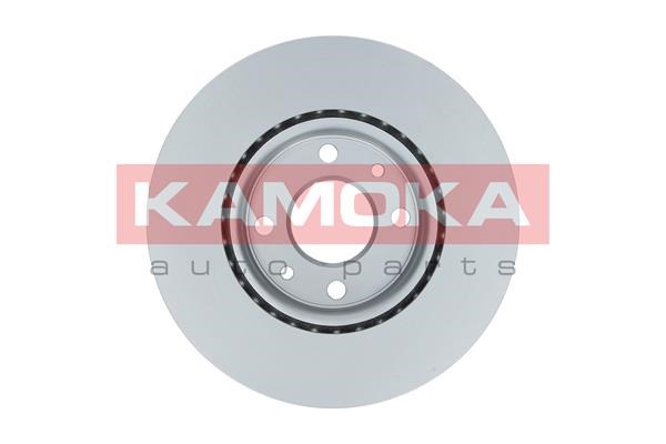Brake Disc KAMOKA 1031524 2