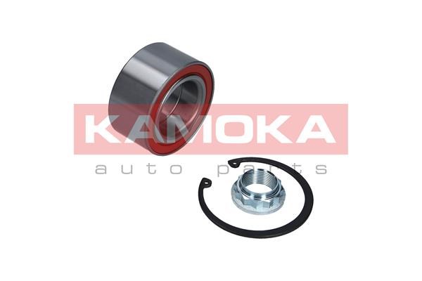 Wheel Bearing Kit KAMOKA 5600088 2