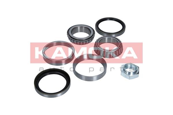 Wheel Bearing Kit KAMOKA 5600083