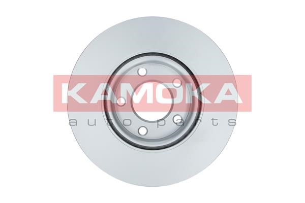 Brake Disc KAMOKA 1031123 2