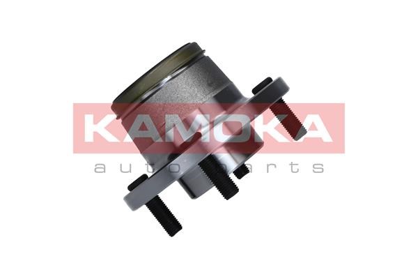 Wheel Bearing Kit KAMOKA 5500135 2