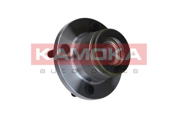 Wheel Bearing Kit KAMOKA 5500135 4