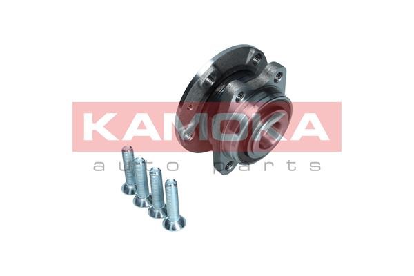 Wheel Bearing Kit KAMOKA 5500175 2