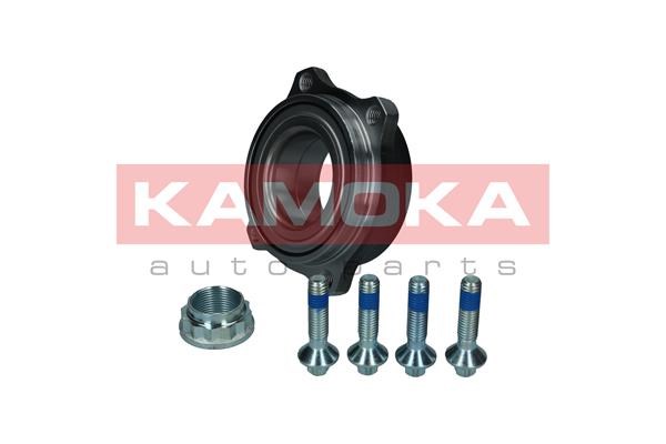 Wheel Bearing Kit KAMOKA 5500305 2