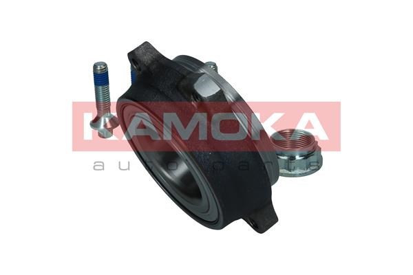 Wheel Bearing Kit KAMOKA 5500305 4