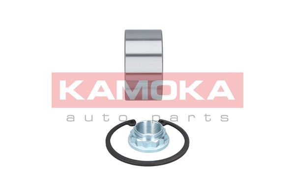 Wheel Bearing Kit KAMOKA 5600084 2