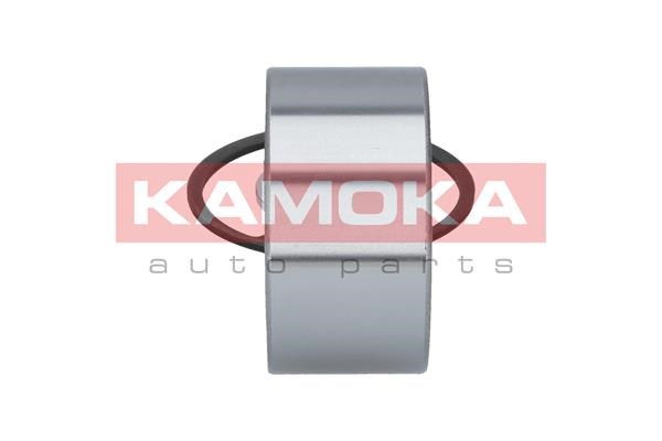 Wheel Bearing Kit KAMOKA 5600084 4